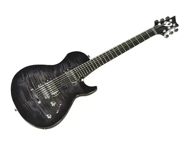 Vigier G.V. Wood Electric Guitar