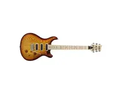 PRS 25th Anniversary Swamp Ash Special Narrowfield Electric Guitar