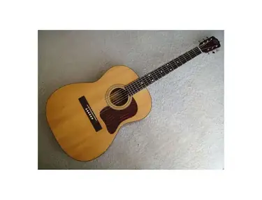 Favilla F-5 Acoustic Guitar