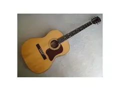 Favilla F-5 Acoustic Guitar