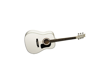 Washburn D10SWH