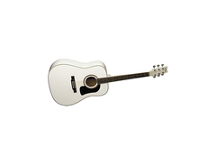Washburn D10SWH main image