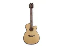CMG Wallace Electric / Acoustic Guitar main image