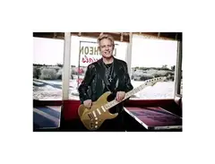 Don Felder Custom Gold Stratocaster main image