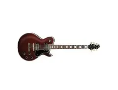 Samick Greg Bennett AV7 main image