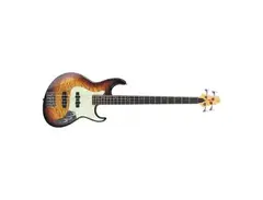 Samick Fairlane FN4 Greg Bennett 4 Strings Bass Guitar main image