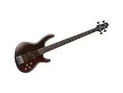 Cort Action Active main image