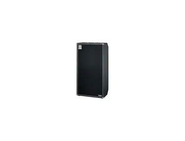 Ampeg Custom 2x15 Cabinet