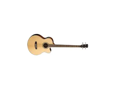 Cort SJB6FX-1 Electric Acoustic Bass
