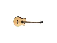 Cort SJB6FX-1 Electric Acoustic Bass
