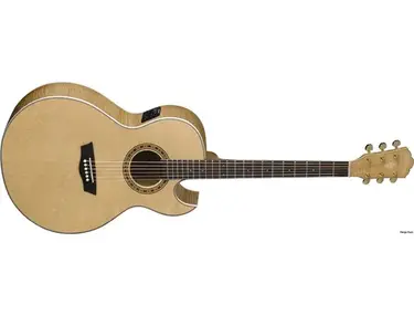 Washburn EA-40