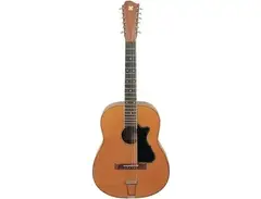Zemaitis 12-String (1960's)