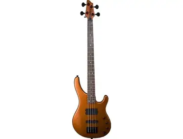 Washburn Stu Hamm signiture bass