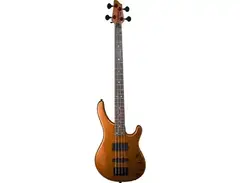 Washburn Stu Hamm signiture bass