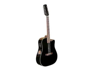 Boulder Creek Solitaire 12 String Guitar