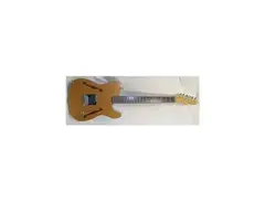 Fender Telecaster Hollowbody Electric Guitar