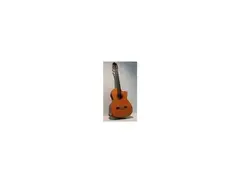 Esteve Deluxe Cutaway Fisherman Classical Guitar main image