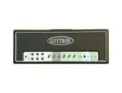 Guytron GT-100 main image
