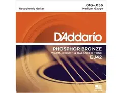 D'Addario EJ42 Phosphor Bronze ( Resophonic Guitar )