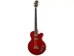 Epiphone Allen Woody Rumblekat - What To Know & Where To Buy Epiphone Allen Woody Rumblekat - What To Know & Where To Buy