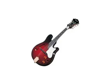 Fender FM-62SE F Style Mandolin