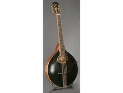 Gibson K-2 Mandocello