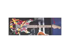 EVH Rasta Frankenstein