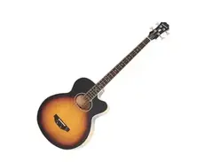 Epiphone El Capitan