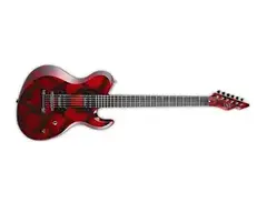 ESP D-DR-II main image