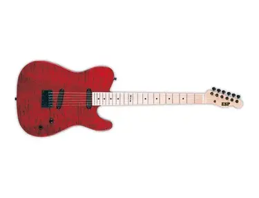 ESP D-TE Electric Guitar
