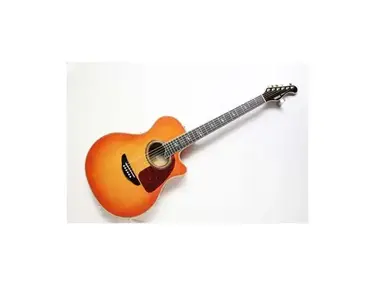 Yamaha APX15FM