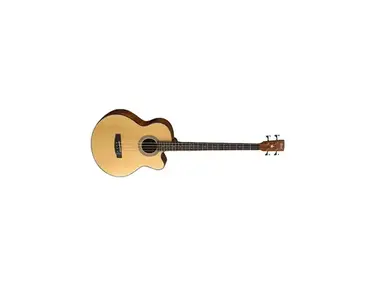Cort SJB5F Electric Acoustic Bass