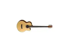 Cort SJB5F Electric Acoustic Bass main image