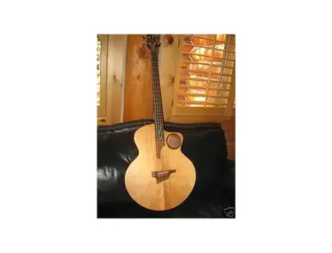 Taylor AB-3 Acoustic Electric Bass Guitar