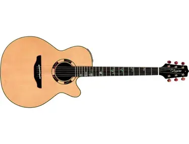 Takamine TSF 48 C