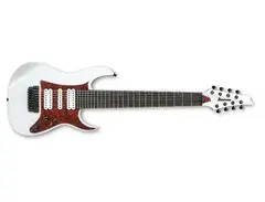 Ibanez TAM10