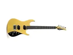 Moog E1 Electric Guitar (Butterscotch) main image