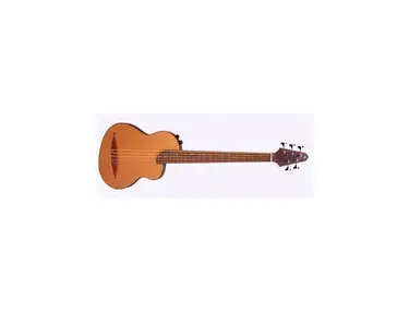 Rick Turner Guitars Rick Turner Renaissance 5-String Baritone Guitar