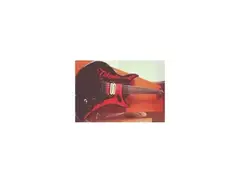 The Takamine Solid Body Series main image