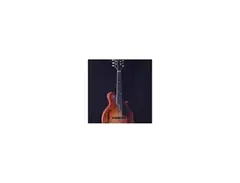 Eastman MD815 Performer Mandolin main image