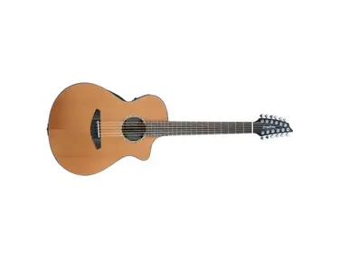 Breedlove Solo 12 String Guitar