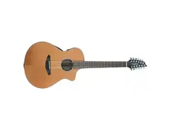Breedlove Solo 12 String Guitar