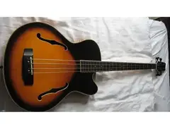 Samick HFB 590 Artist semi-acoustic Bass main image