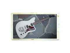 Flatline Biscayne Electric Guitar main image