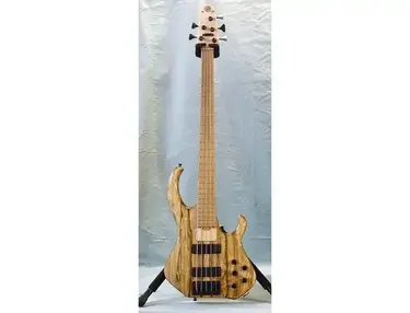 2006 Skjold Pro Series Deluxe 5 String Bass