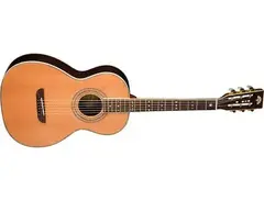 washburn wp26sns main image