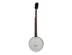Epiphone MB-100 main image