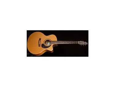 Seagull Performer Mini Jumbo CW GT QII