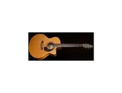 Seagull Performer Mini Jumbo CW GT QII