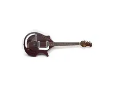 Rogue Sitar main image